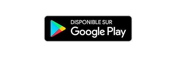 logo play store