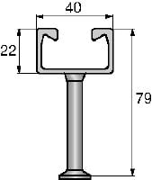 Rail d'ancrage laminé à chaud HAC-C Rails d'ancrage coulés, laminés à chaud et de tailles et longueurs standard, adaptés à un large éventail d'applications